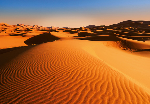 Fotomural Desert Landscape